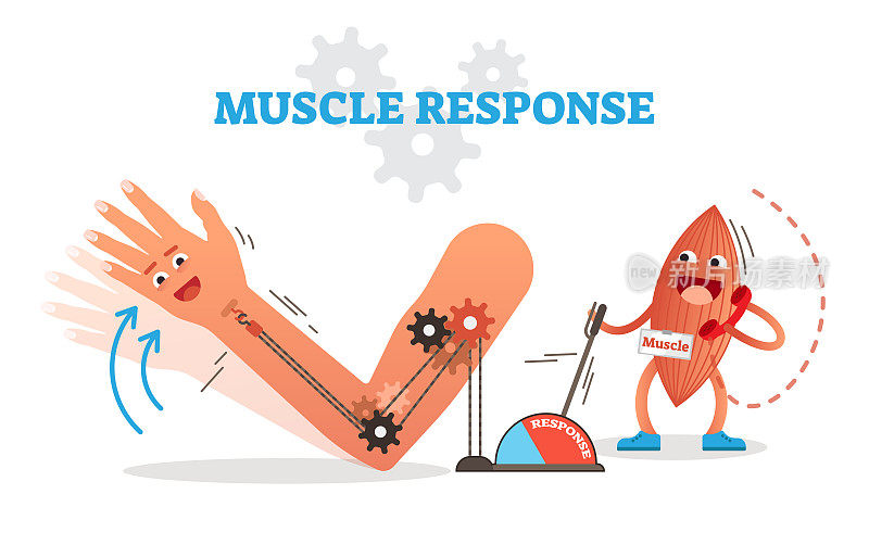 肌肉反应概念矢量图解方案与卡通肌肉人物接受神经冲动和移动的手。