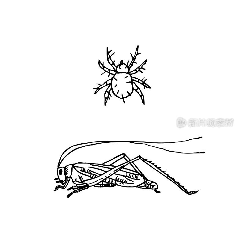 Bug草图