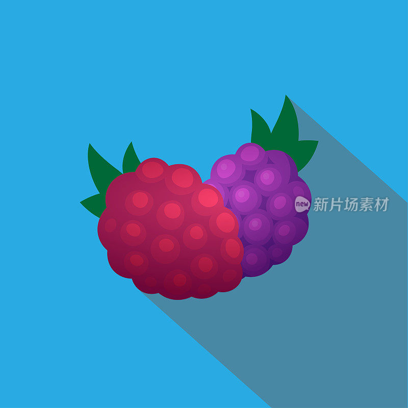 树莓果实图标