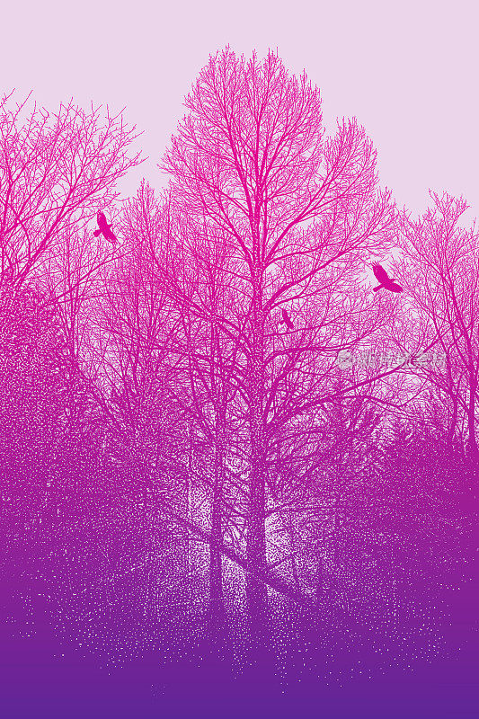 深秋的树木和乌鸦
