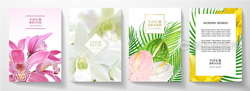 热带封面和框架页设计集亚洲兰花，鸢尾花，百合花束