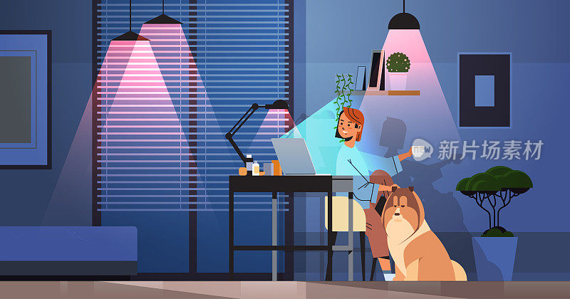 女商人自由职业者看着笔记本电脑屏幕的女人坐在工作场所附近的狗在黑暗的夜室