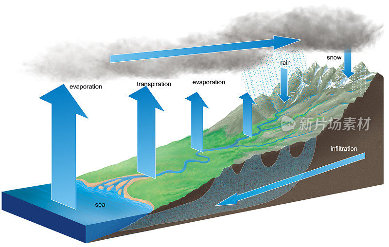生态学和流体动力学。水的循环。蒸发、运输、降水和径流循环。