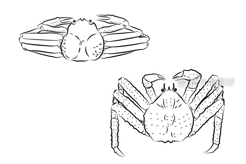 图3帝王蟹和雪蟹(无颜色)