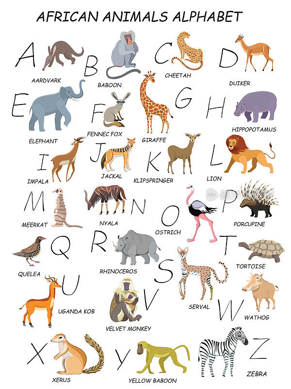 所有的非洲动物都用字母表。斑马，黄狒狒，薛鲁斯，疣猪，天鹅绒猴，乌龟，豪猪，鸵鸟，尼亚拉，猫鼬，克里普斯普林格，豺，狒狒，土豚，小羚羊，黑斑羚，薮猫