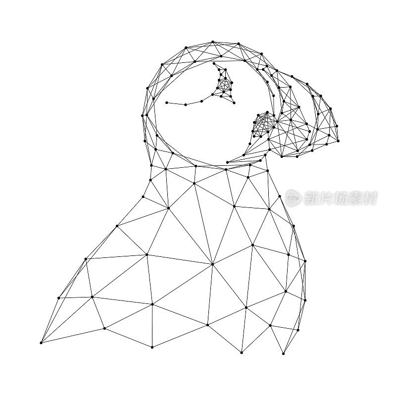 大西洋鸟海鹦，北极异卵海鹦，从抽象的未来主义多边形黑线和点。矢量插图。