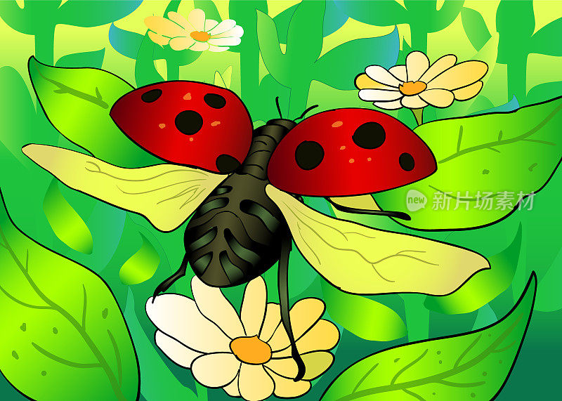 飞行瓢虫矢量插图，在花上，春天的时间