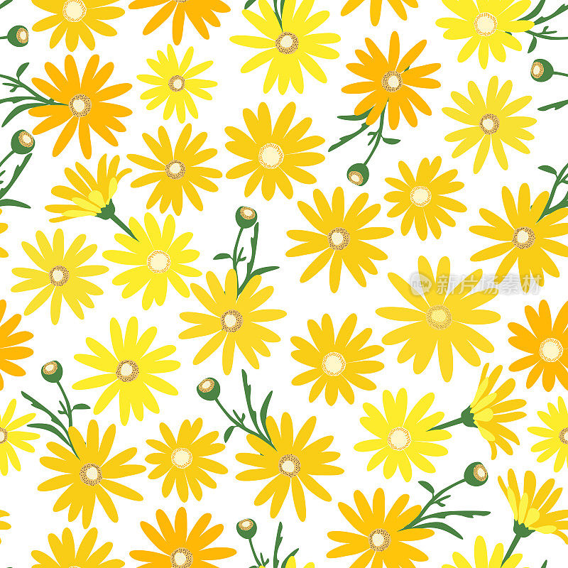 黄色的菊花图案。小雏菊花卉图案。无缝的印花。