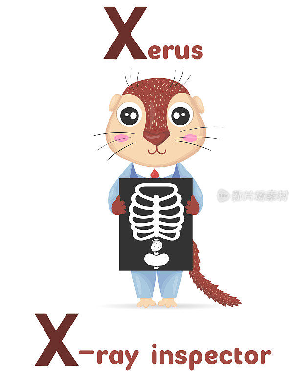 以字母x开头的ABC动物职业，卡通风格的x射线检查员。