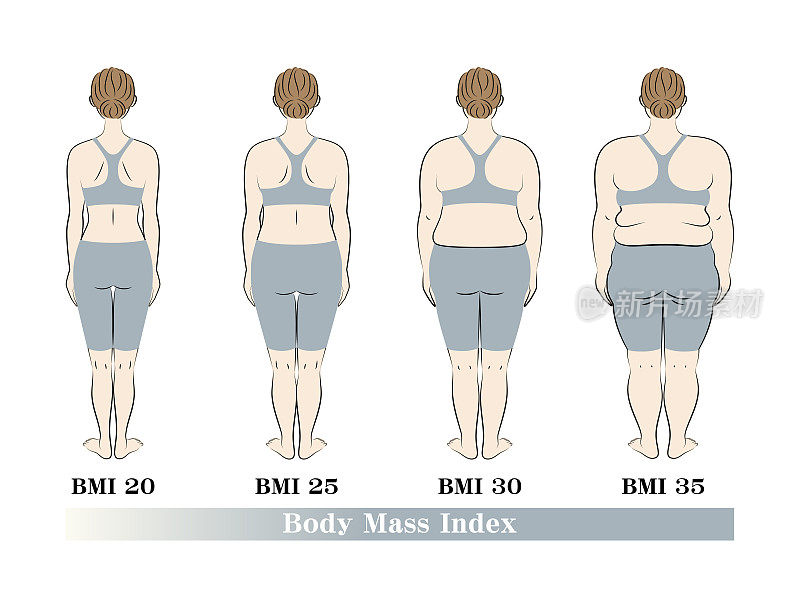 体型随体重指数变化。女性后视图。BMI(身体质量指数)向量。