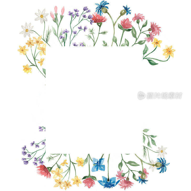 手绘水彩野花花环插图。野花花框架剪纸婚礼，生日邀请。花的气味。草地上的花。