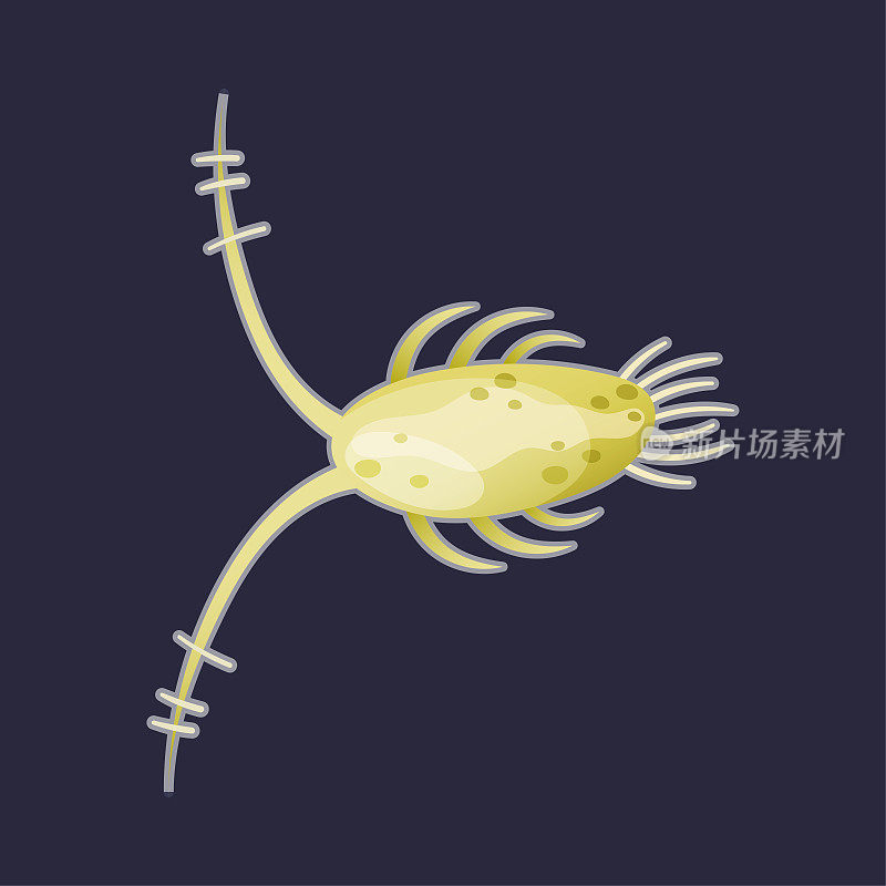 绿色浮游生物水生物自由漂浮在黑暗背景矢量插图