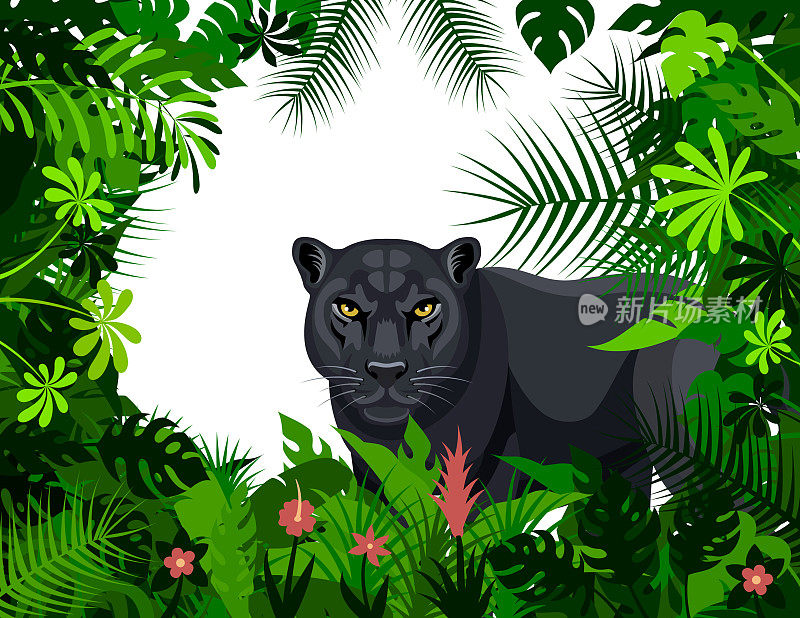 丛林里的野生黑豹。吉祥物创意Logo设计。