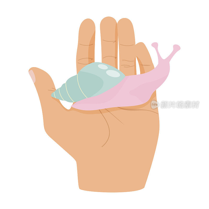 一只蜗牛坐在一个人的手掌上。