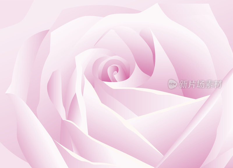 粉色玫瑰背景