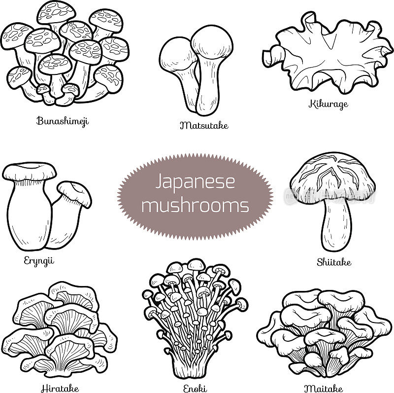 无色的日本蘑菇套装
