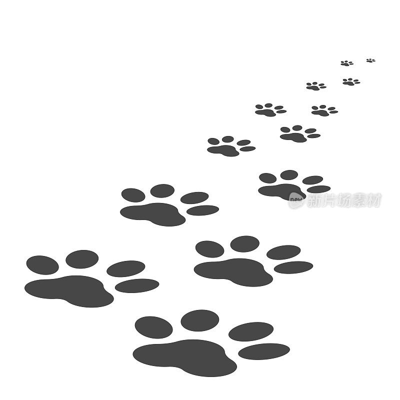 爪印图标矢量插图孤立在白色背景。狗、猫、熊爪子象征扁平象形文字。