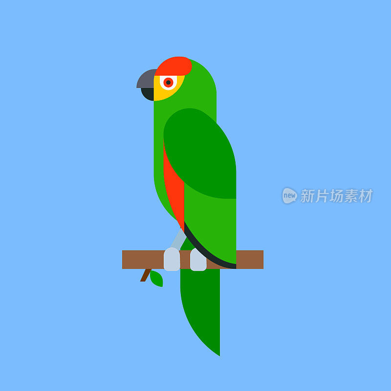 鹦鹉，绿色鸟类，品种，动物，自然，热带鹦鹉，教育，彩色宠物矢量插图