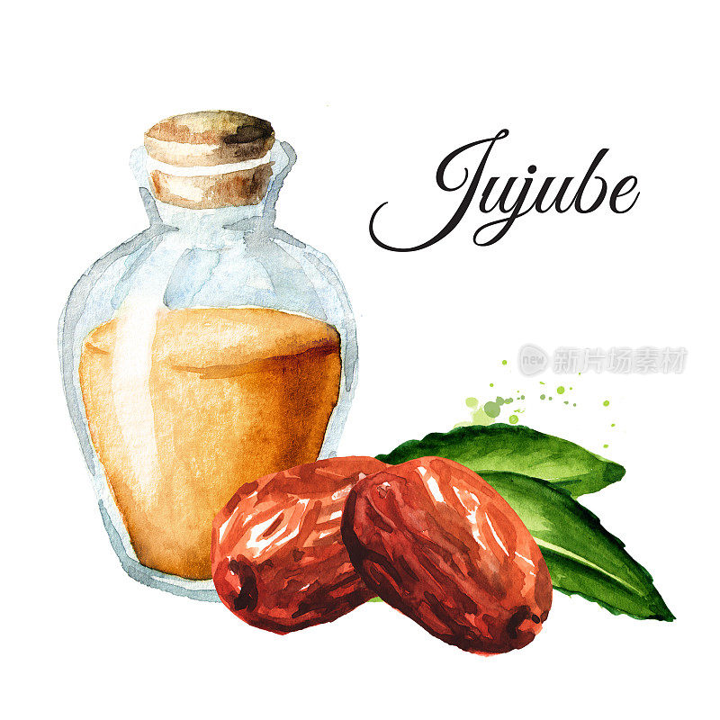 干乌纳比水果，酸枣和瓶与酊剂。手绘水彩插图孤立的白色背景