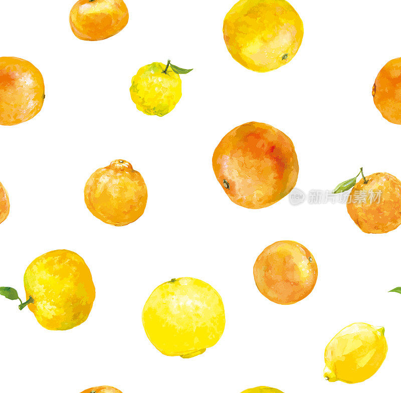 产自濑户内海地区的各种柑橘类水果的无缝图案，白色背景