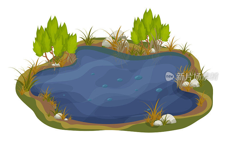 湖泊，沼泽与石头，芦苇百合叶卡通风格孤立在白色背景上。森林幻想场景，野生自然。矢量图