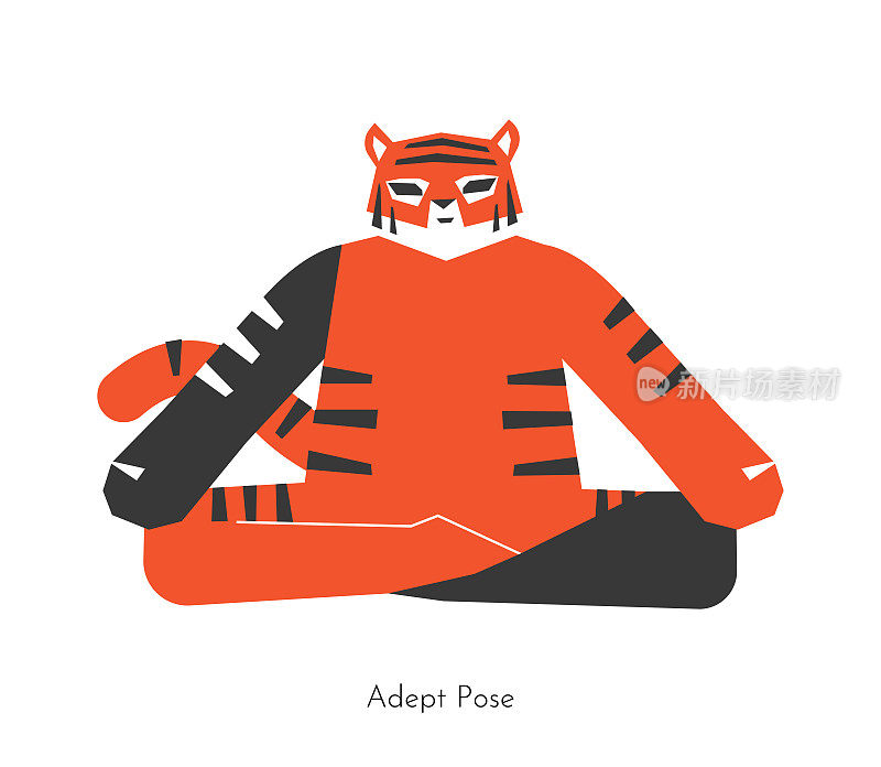 矢量孤立概念与动物卡通人物做瑜伽练习-悉达多纳。韩国老虎学会了熟练的姿势。静坐健身练习的平面插图