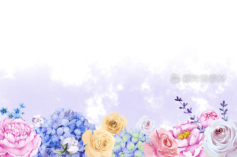 粉红色牡丹，玫瑰，薰衣草，绣球花和紫色雾在白色背景的水平边界。手绘水彩插图。花的背景。副本的空间。