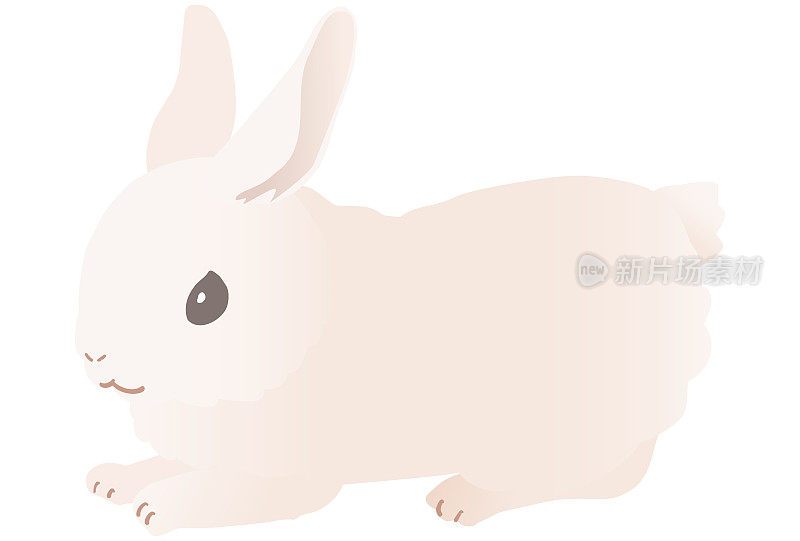 该死的白色兔子矢量插图。其他姿势也可以。