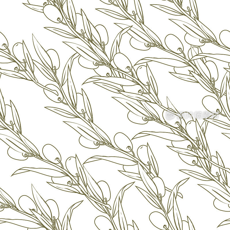 无缝模式与橄榄树树枝手绘矢量插图。