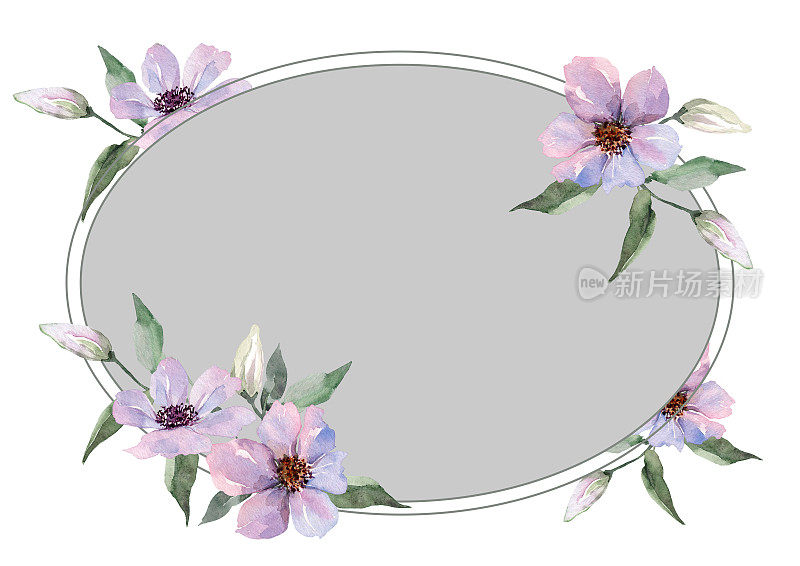 椭圆形花框架。紫色铁线莲花在春天的花束。手绘水彩画。放置文本灰色背景。时尚设计的婚礼请柬，贺卡，印刷。