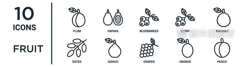 水果轮廓图标集包括细线李子，蓝莓，橘，榅桲，橘子，桃子，日期图标报告，演示，图表，网页设计