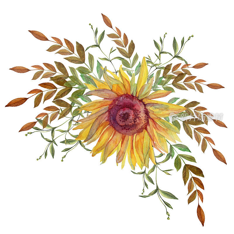 水彩花束与花向日葵和树枝与树叶孤立在白色的背景。创意手绘剪贴画贴纸或纺织品。明信片，婚礼庆典或包装墙纸
