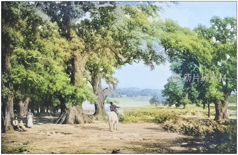 古董绘画照片:风景