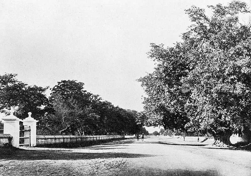 1895年印度的人物和地标:林荫大道，翁巴拉