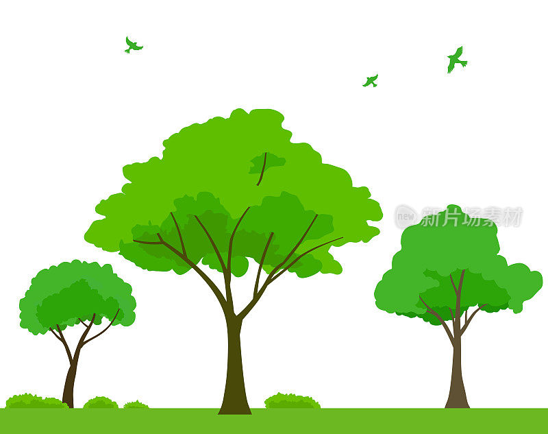 景观插图绿树与飞鸟，背景