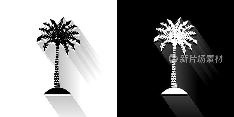 热带棕榈树黑色和白色与长影子的图标