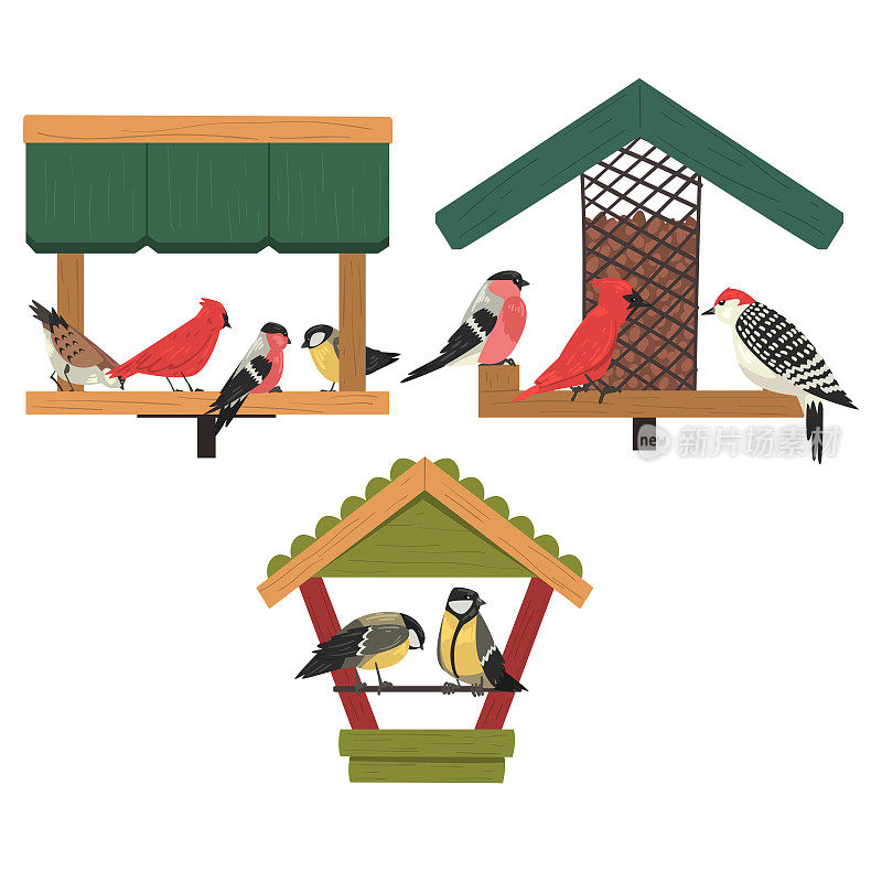 冬天的鸟喂食器，北方鸟类喂食的种子，可爱的红色红衣主教，山雀，啄木鸟，红腹灰雀矢量插图