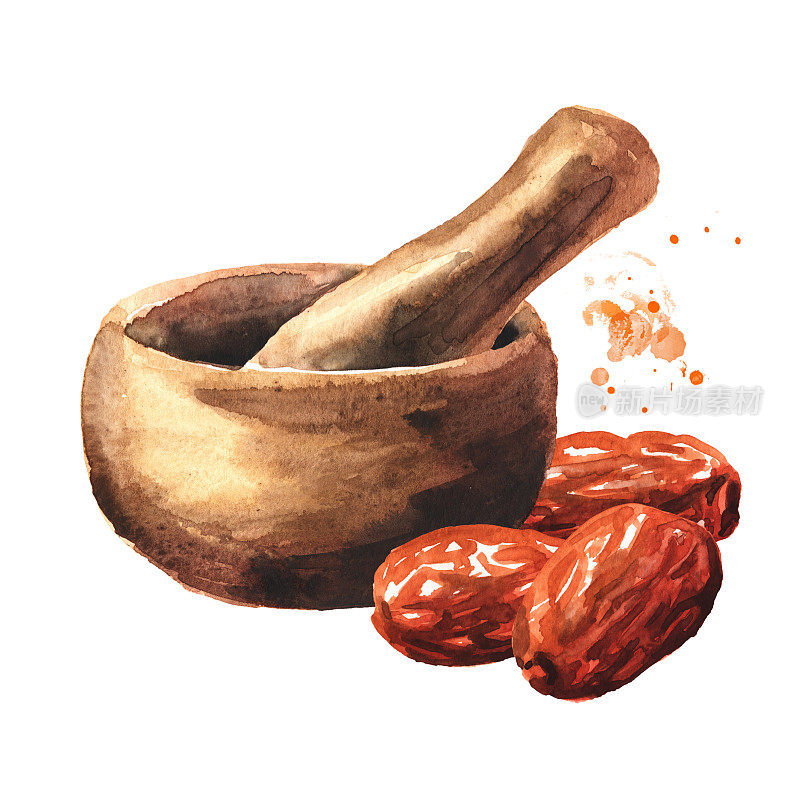 干乌纳abi水果，酸枣或枣和臼。手绘水彩插图孤立的白色背景