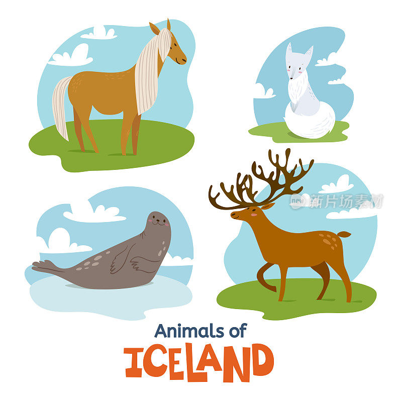 冰岛的动物在扁平的现代风格设计
