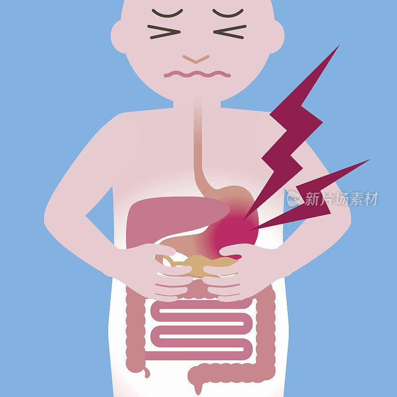 胃痛与人体消化器官有关，简化说明