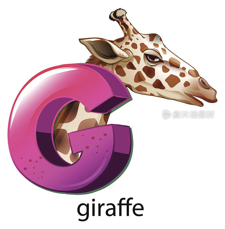 字母G代表长颈鹿
