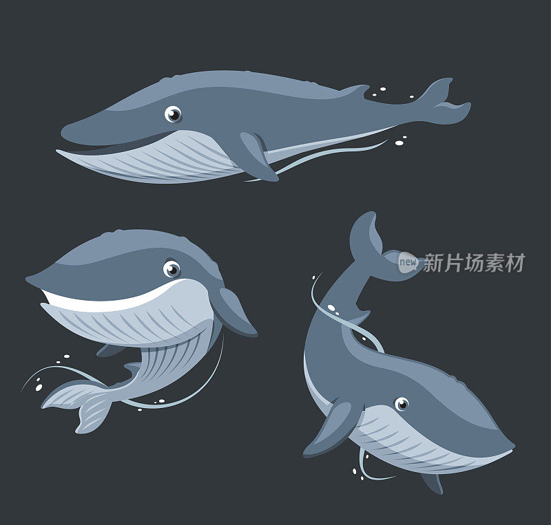 蓝鲸水生哺乳动物。