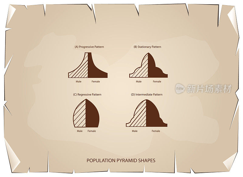 四种类型的人口金字塔在旧纸背景下