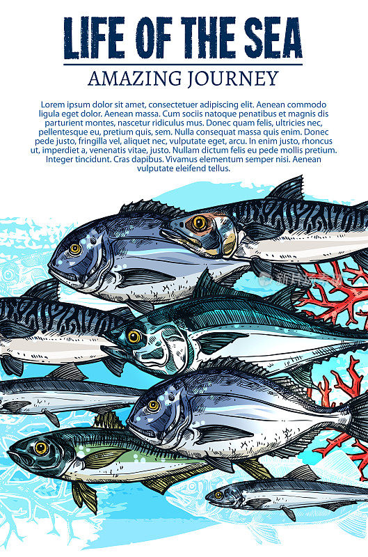 矢量海鱼海报，描绘海洋鱼类的生活