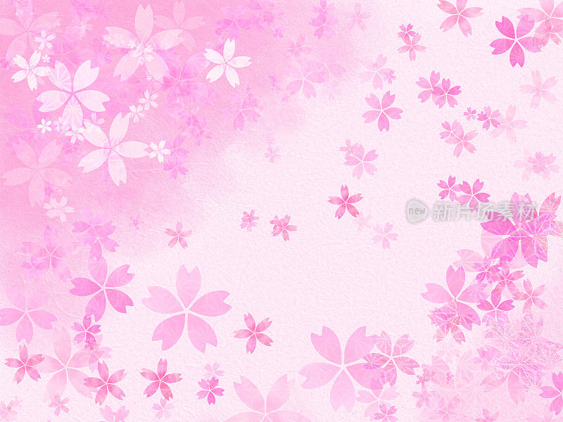樱花.Wallpaper。