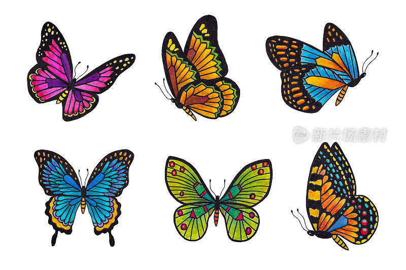 蝴蝶设置在白色背景孤立。水彩插图,班轮。