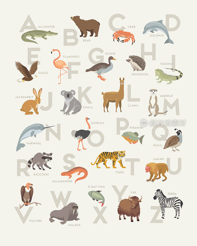 现代动物字母表海报设计。柔和的色彩墙壁艺术，版画，装饰。