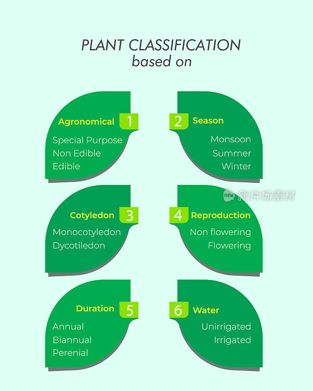 植物分类根据农艺，季节，子叶，繁殖，持续时间和灌溉