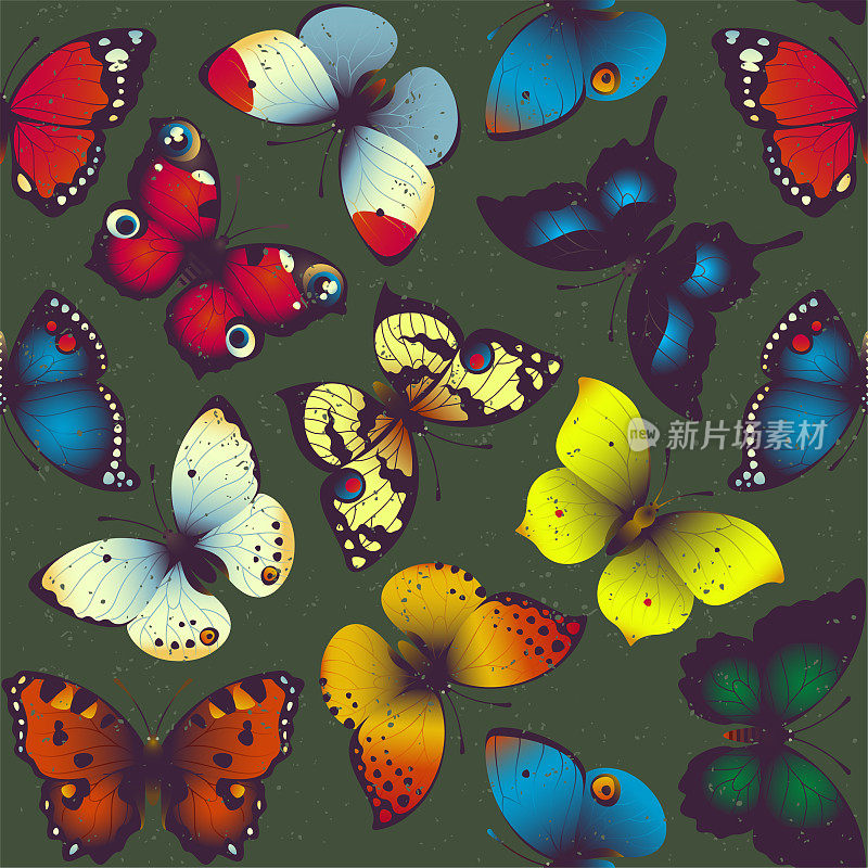 蝴蝶图案