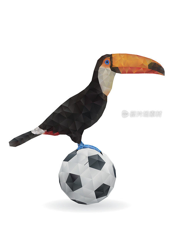 可爱的巨嘴鸟坐在足球上。